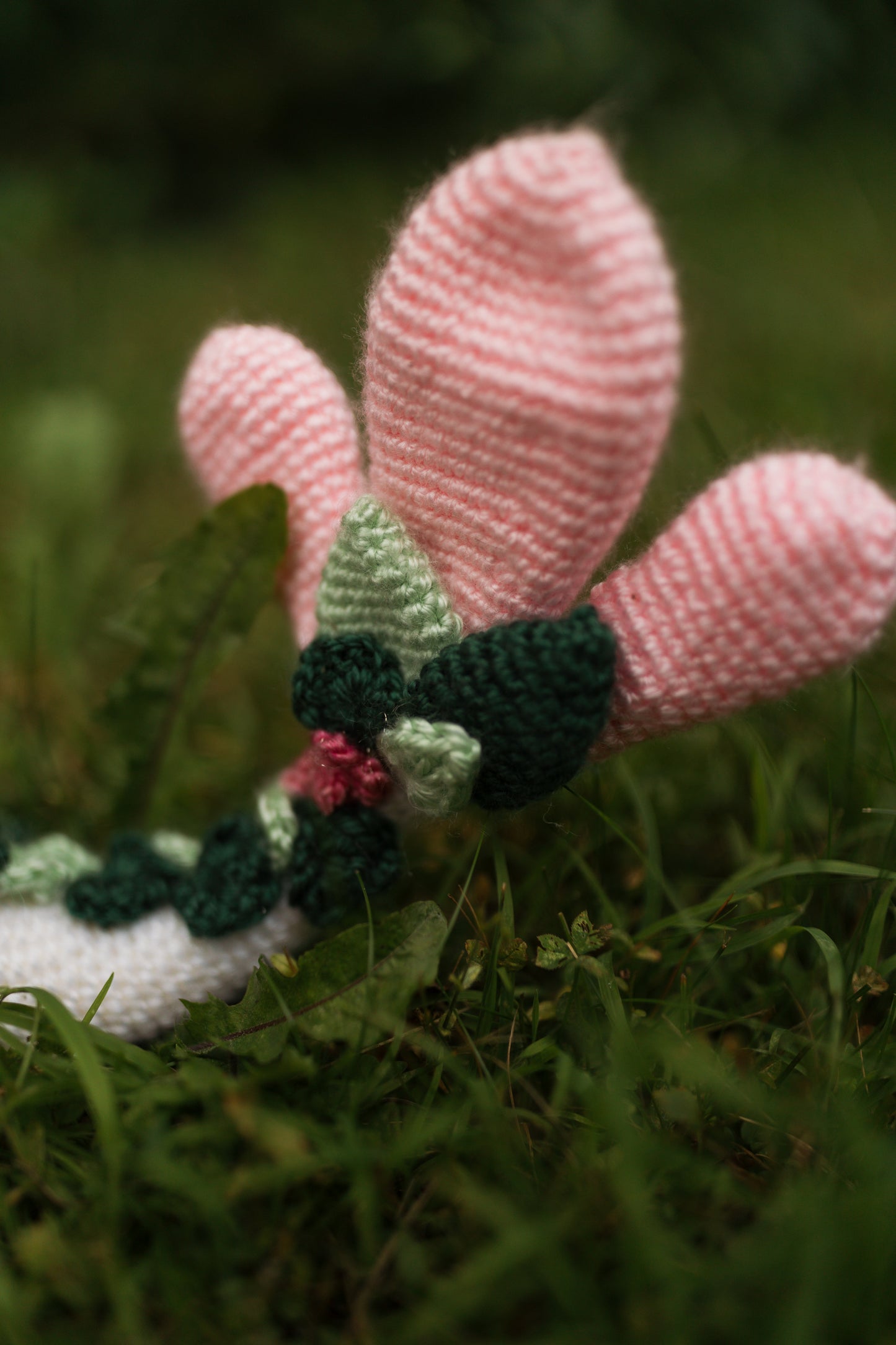 Ellie the forest dragon