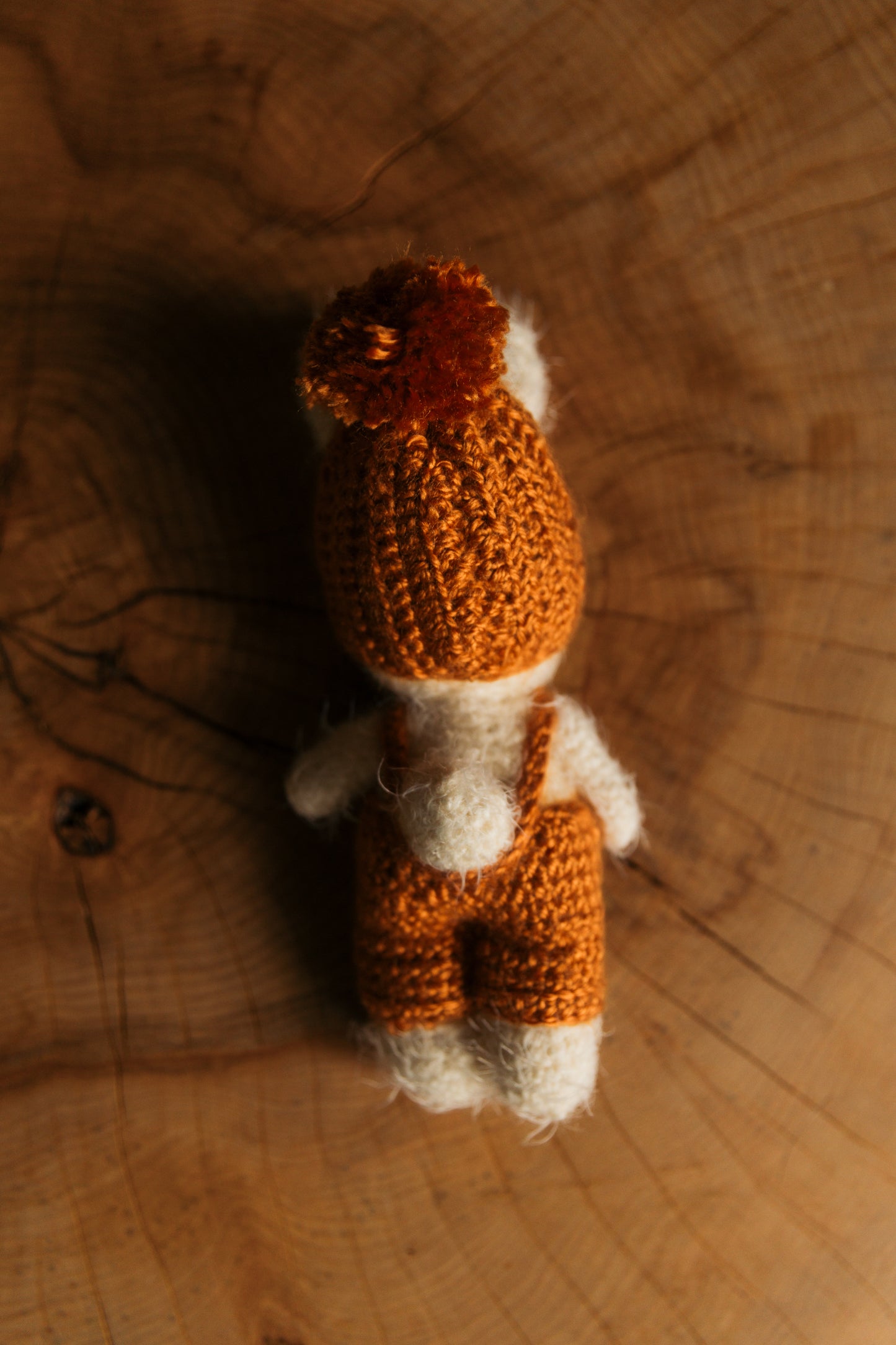 Customizeable bunny