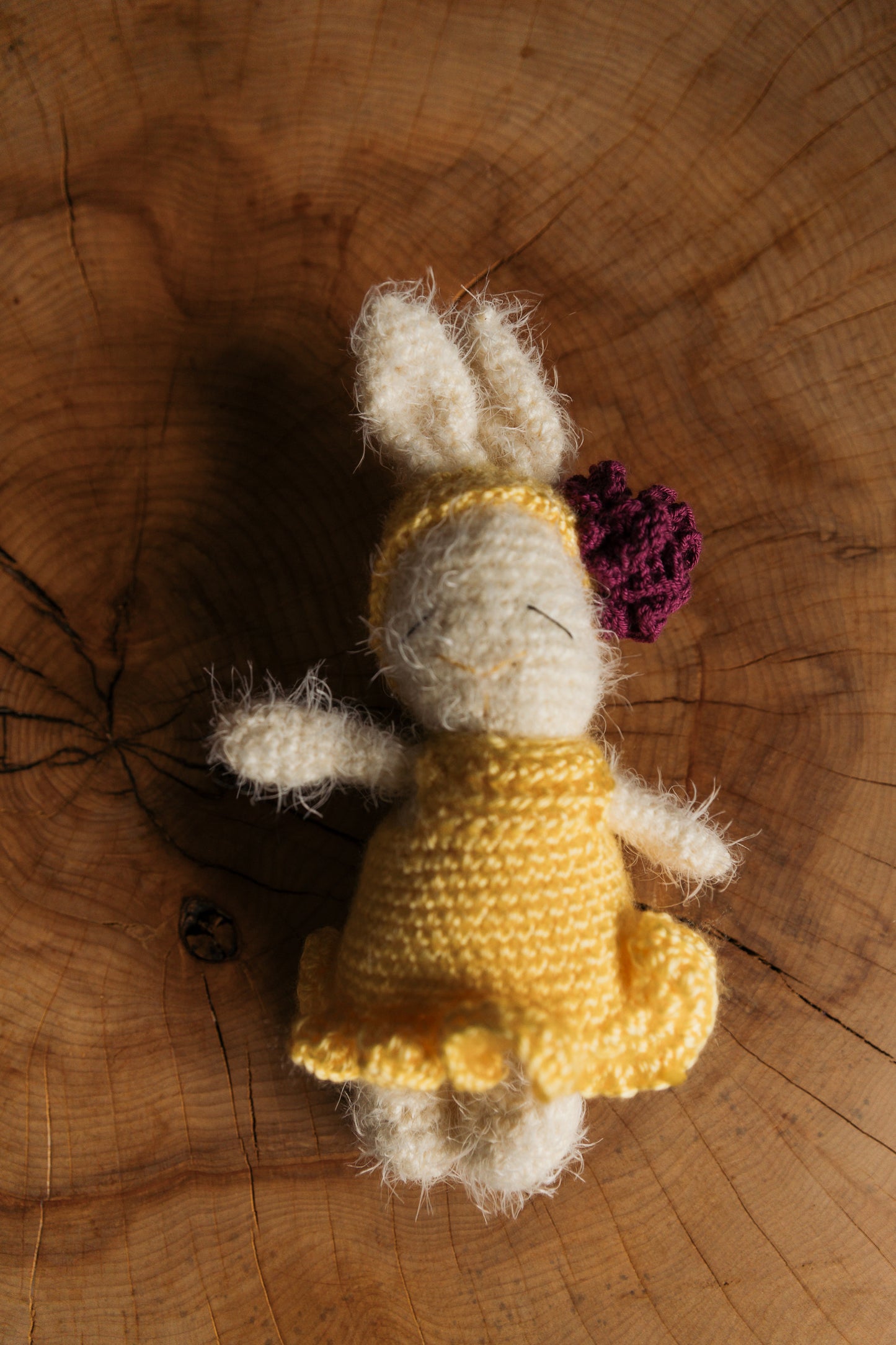 Customizeable bunny
