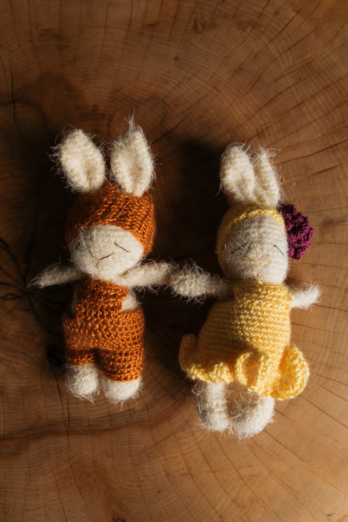 Customizeable bunny