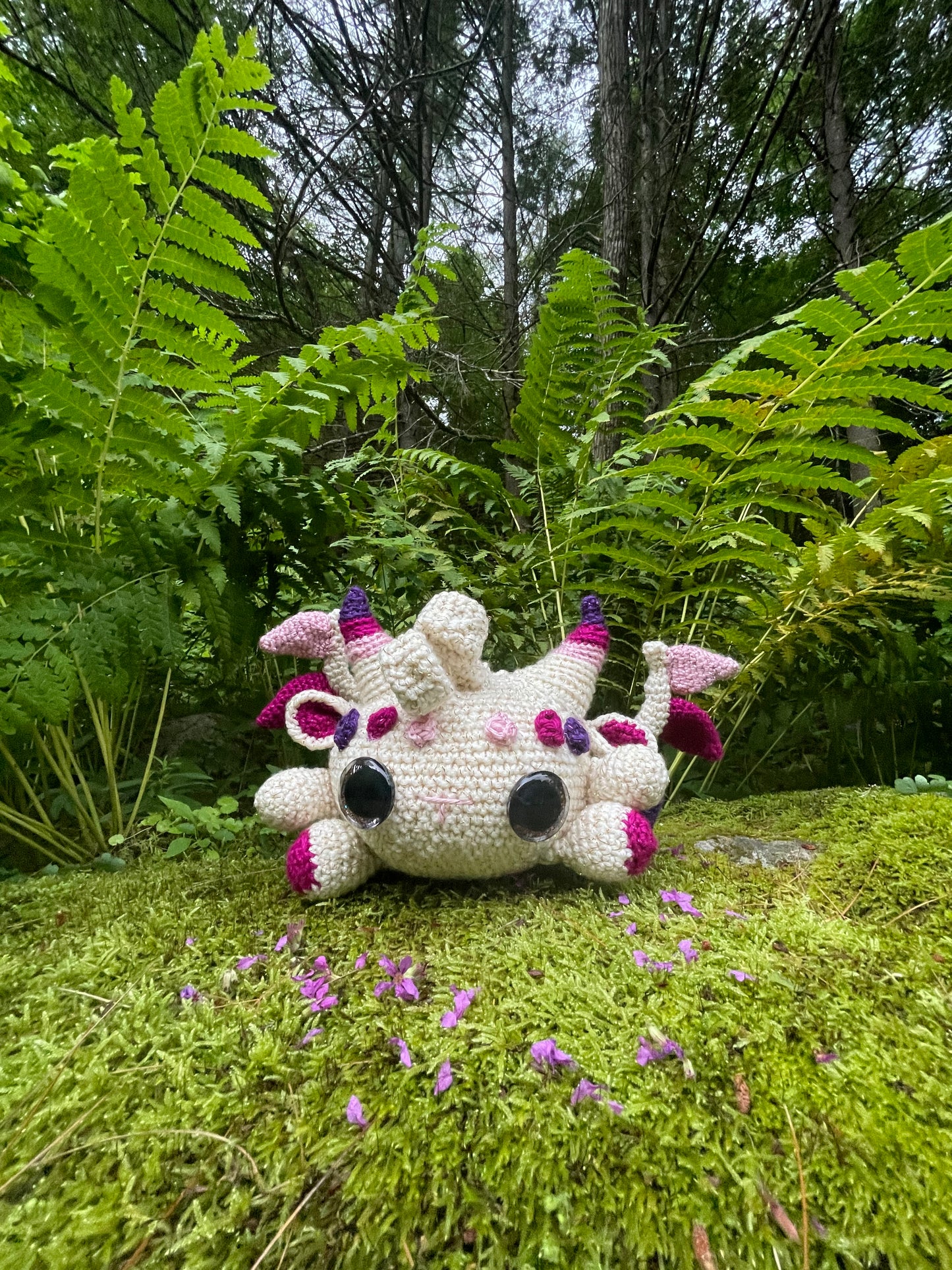 Kalliope the Dragon Hatchling