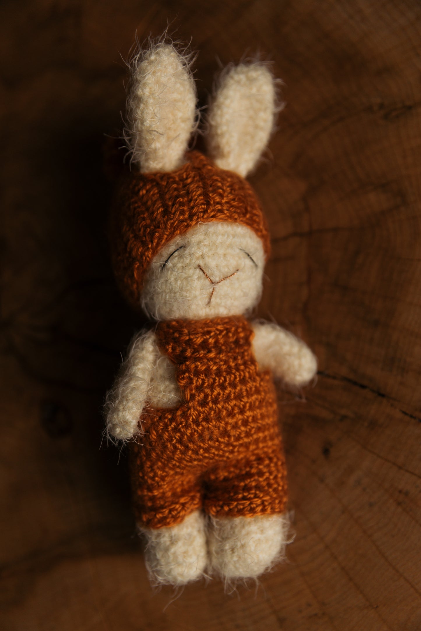 Customizeable bunny