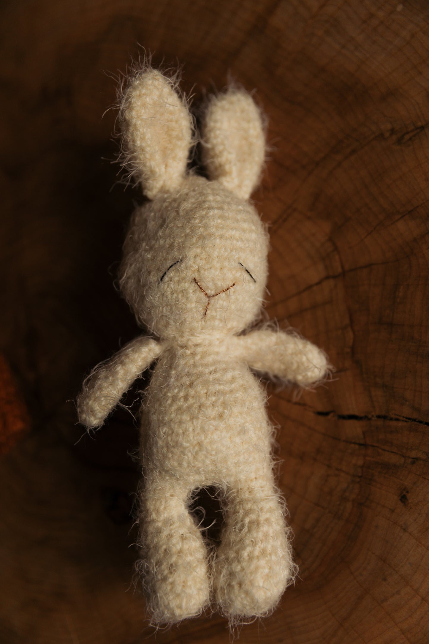 Customizeable bunny
